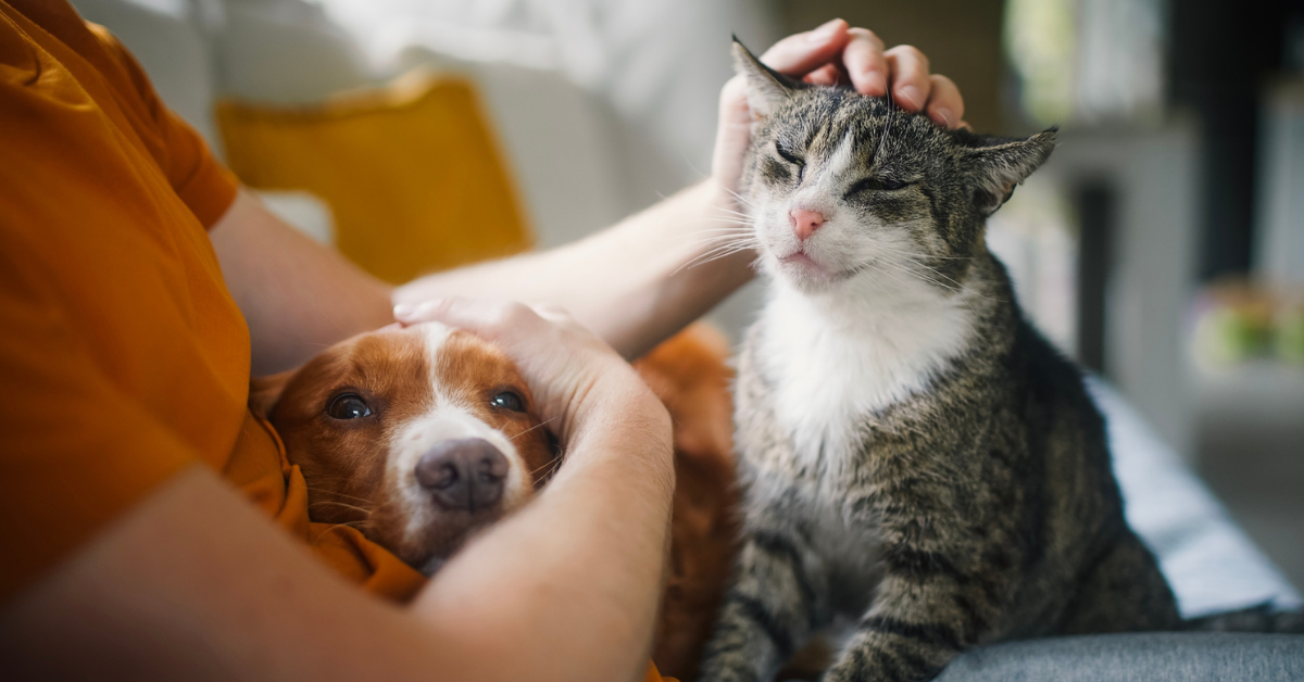 The “Leash” You Can Do: Commerce Enablement Trends in US Pet Care